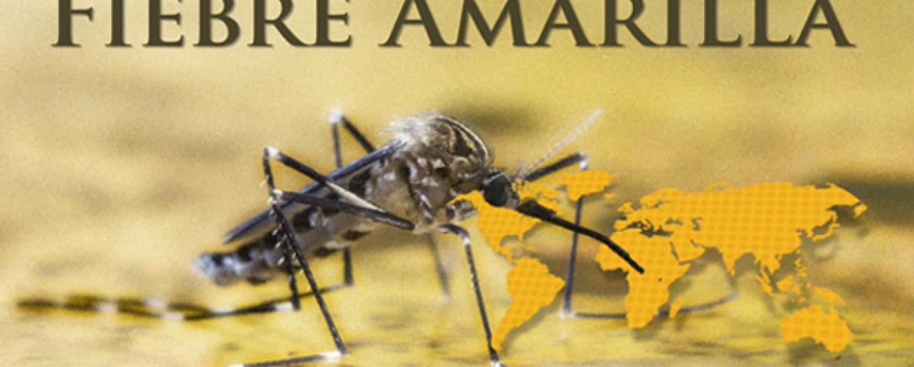 Ministerio de Salud confirma caso positivo de fiebre amarilla  en Costa Rica