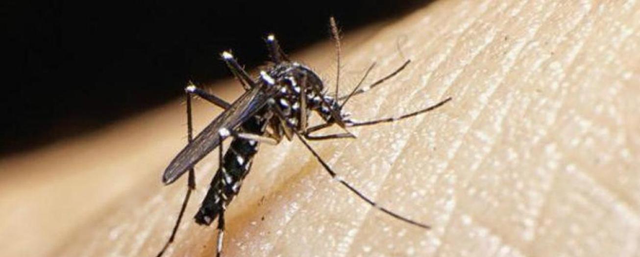 Salud confirma tercer caso de chikungunya y refuerza llamado a la prevención