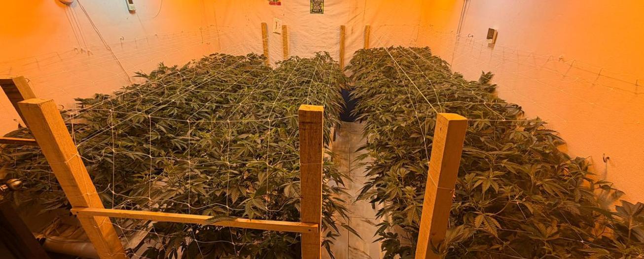 OIJ allana vivienda y detiene a tres personas por venta de drogas 