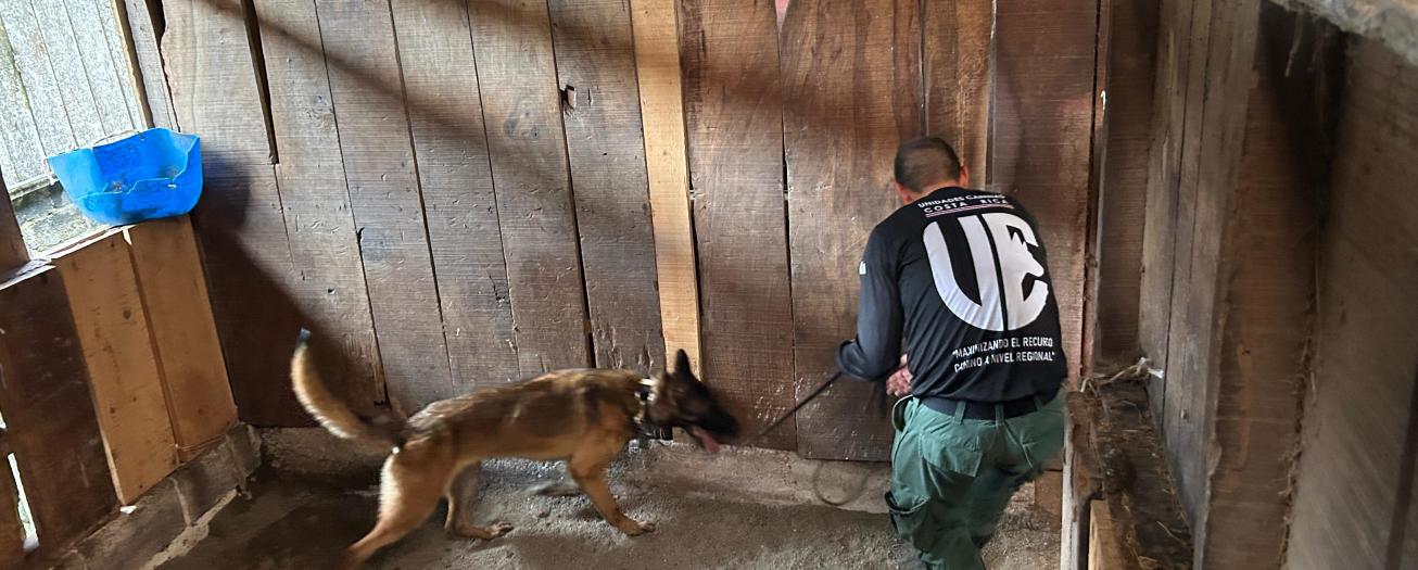 Academia Nacional de Policía efectúa curso de especialización de agentes caninos, guías e instructores 