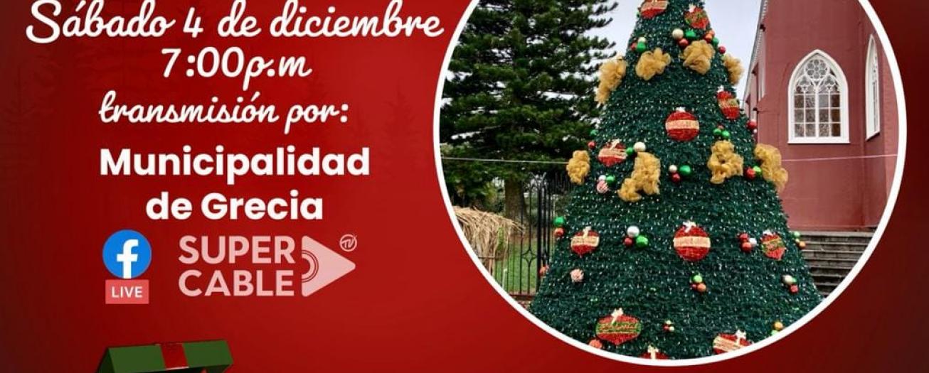 Municipalidad se expone a demandas de solicitar código QR para la iluminación del árbol de navidad
