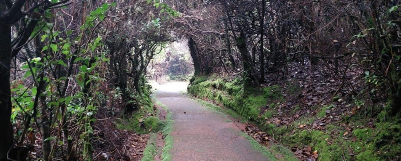 Parque Nacional Volcán Poás habilita Sendero Laguna Botos