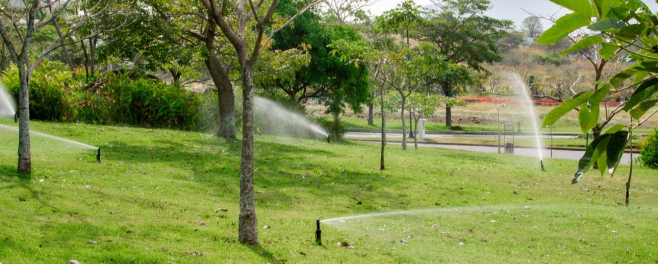 Saneamiento del agua en Coyol Free Zone permitió tratar el equivalente a 190 piscinas olímpicas