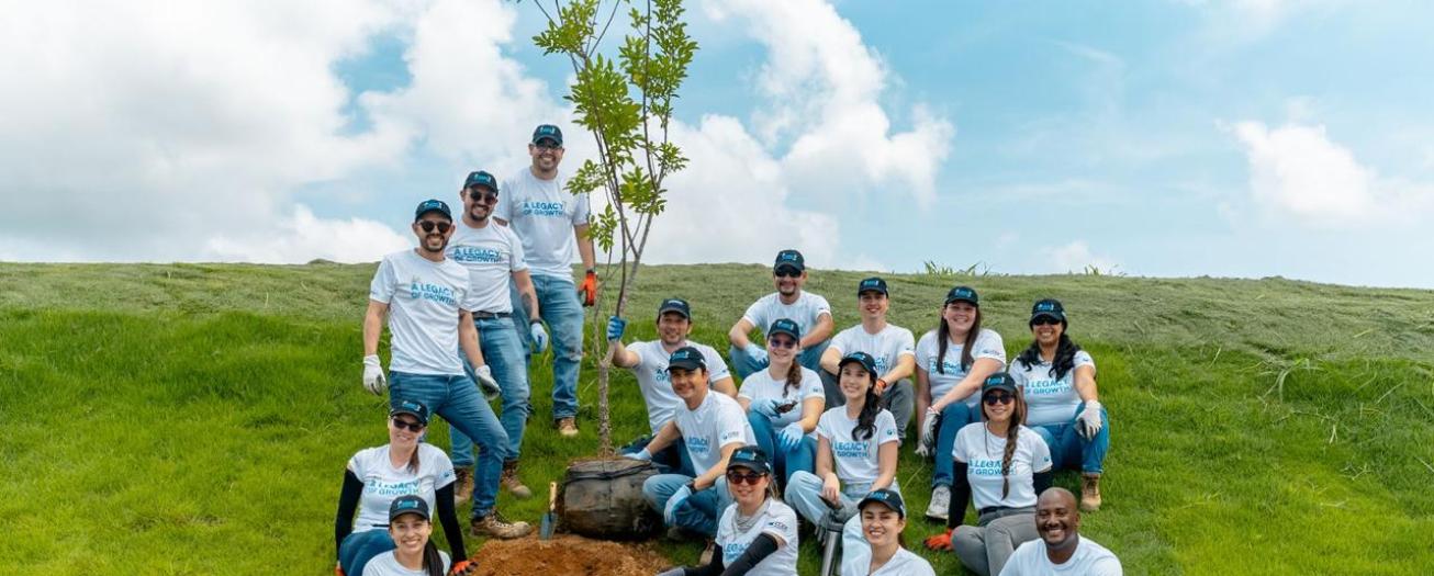 Evolution Free Zone planta 170 árboles nativos 