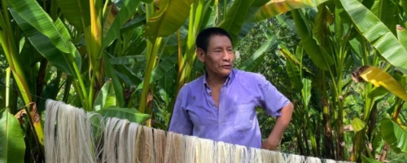 Se abre convocatoria para postular proyectos productivos sostenibles