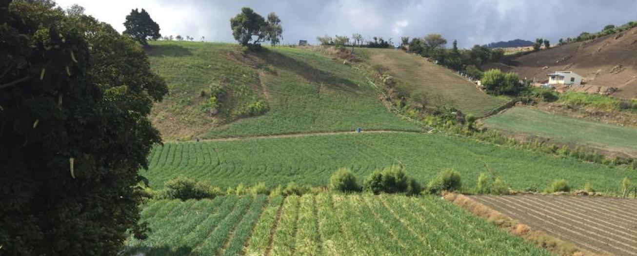 MAG ofrece más de ₡130 millones en incentivos a productores  por buenas prácticas ambientales 