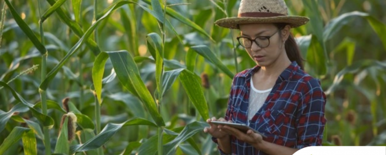 Programa de Ferias del Agricultor bancariza digitalmente a agricultores e intermediarios