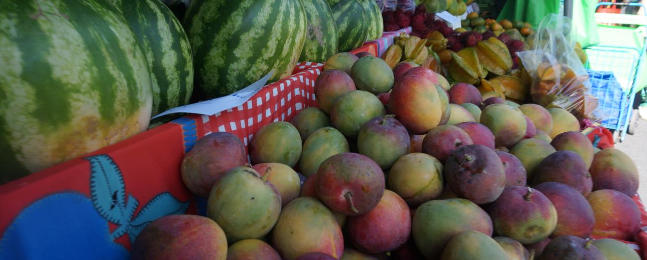 Ferias del agricultor se manifestarán en la Asamblea Legislativa