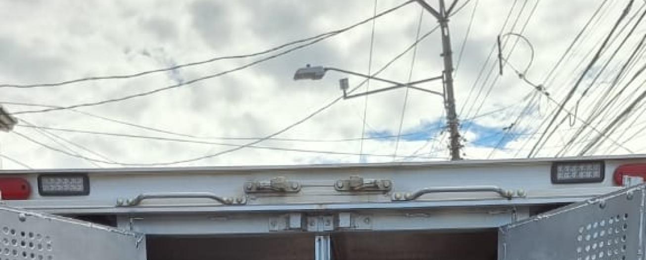 OIJ Alajuela detiene a sospechosos  del delito de Infracción a la Ley de Psicotrópicos