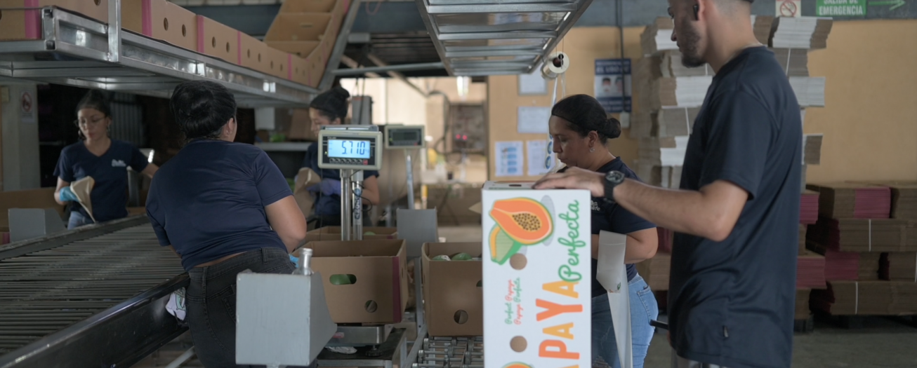 Programa Nacional de Clústeres recibe declaratoria de interés público 