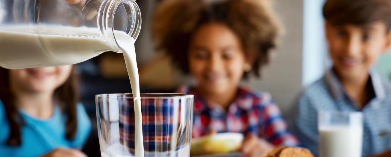 La leche y los lácteos: aliados clave para la salud y la nutrición  