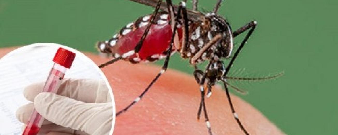 Salud confirma dos casos nuevos de dengue tipo 4 o DENV-4