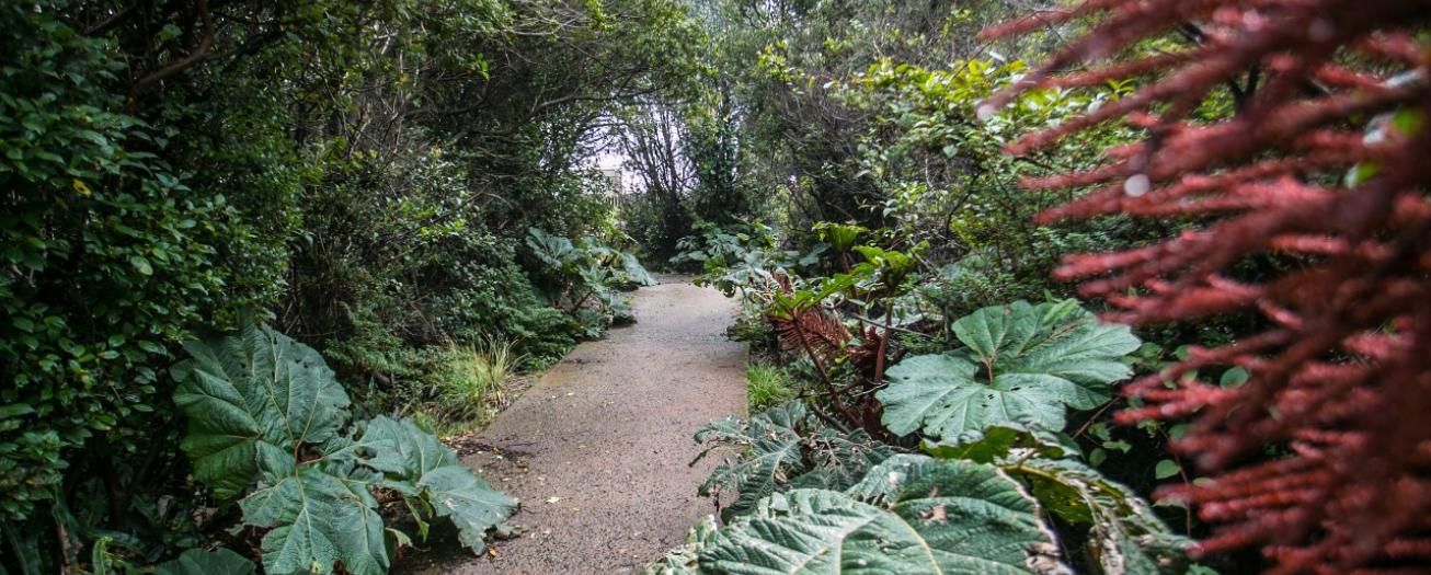 Donación de $1 millón permitirá a Costa Rica  fortalecer inventario de su biodiversidad 