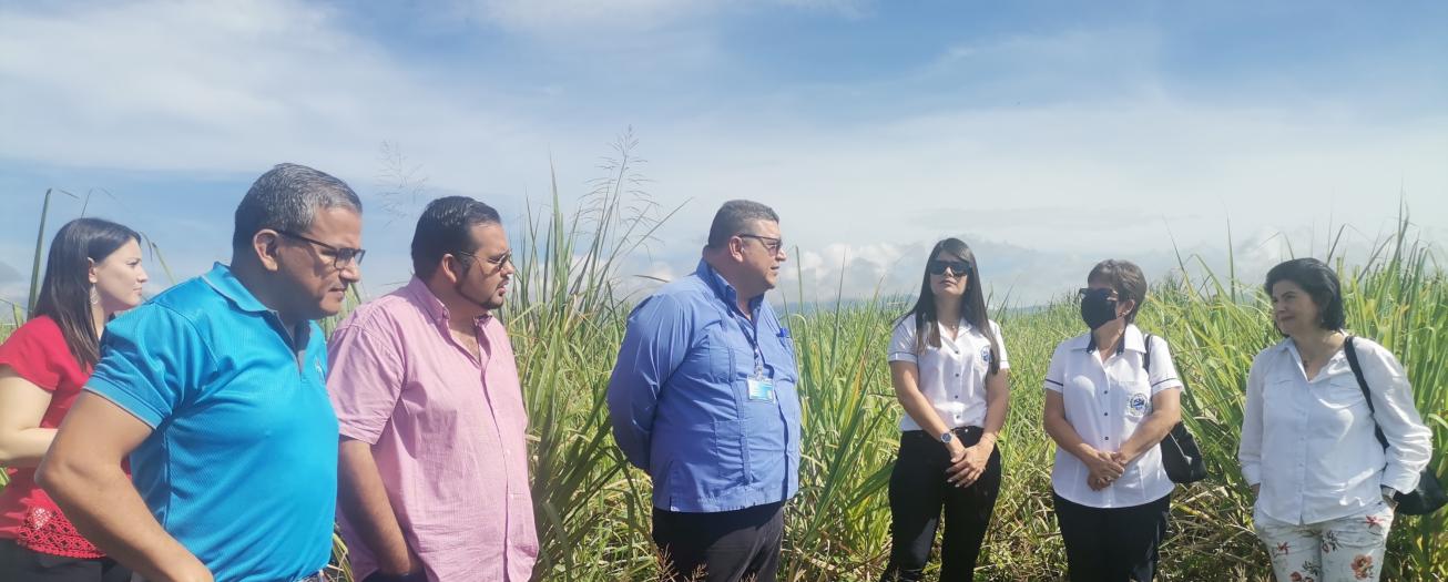 CCSS acuerda suspender proyectos del portafolio de inversiones que no hayan dado inicio