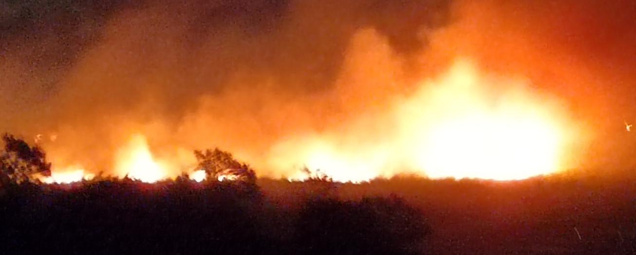 Griegos organizan manifestación contra quema de cañales y charrales