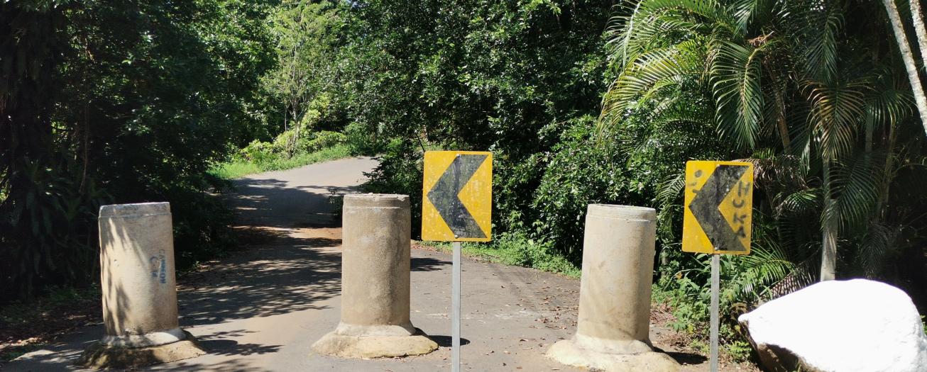 CNE y Municipalidad de Grecia intervendrán puentes colapsados