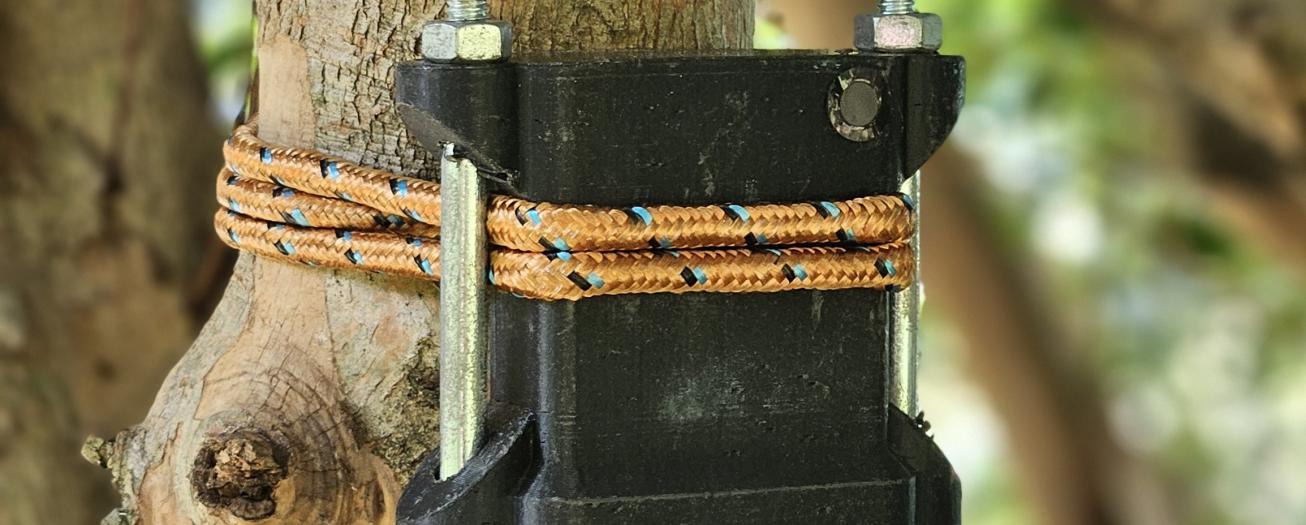 UNED lanza “monitoreo acústico” que busca estudiar aves  y su comportamiento ante variables climáticas