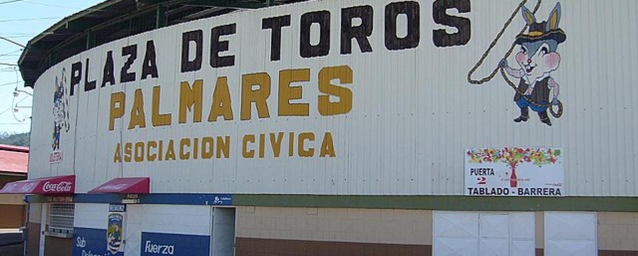 Las tradicionales corridas de fin de año llegan a  Palmares 