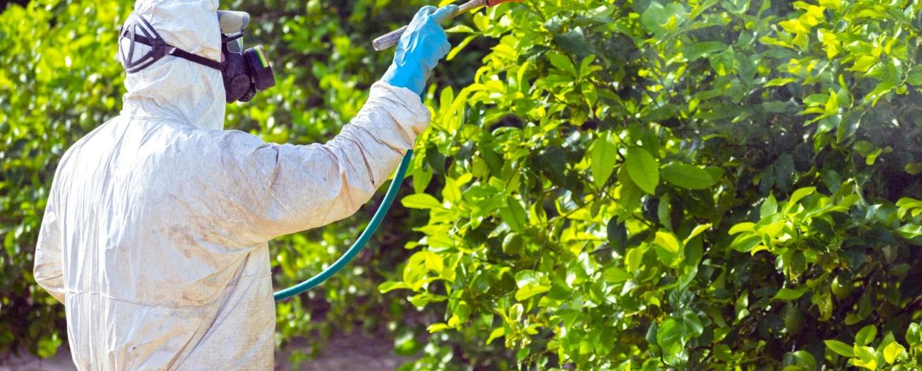  Salud, MAG y MINAE elaboran protocolo para gestión integral  de riesgos  de plaguicidas agrícolas