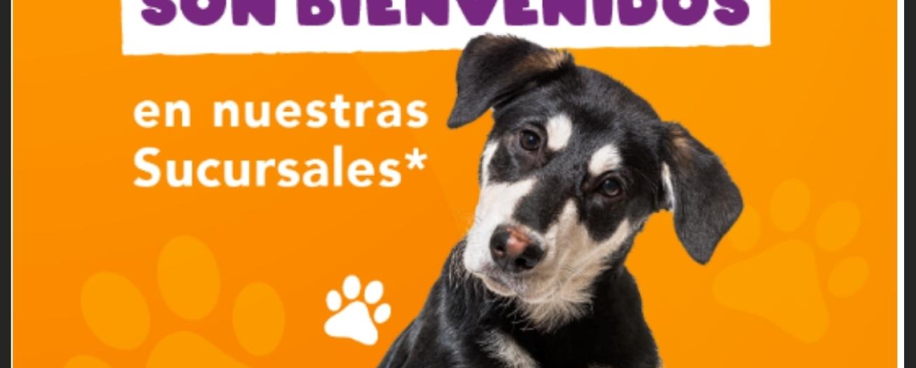 Clientes del Banco Popular podrán hacer sus trámites junto a sus mascotas