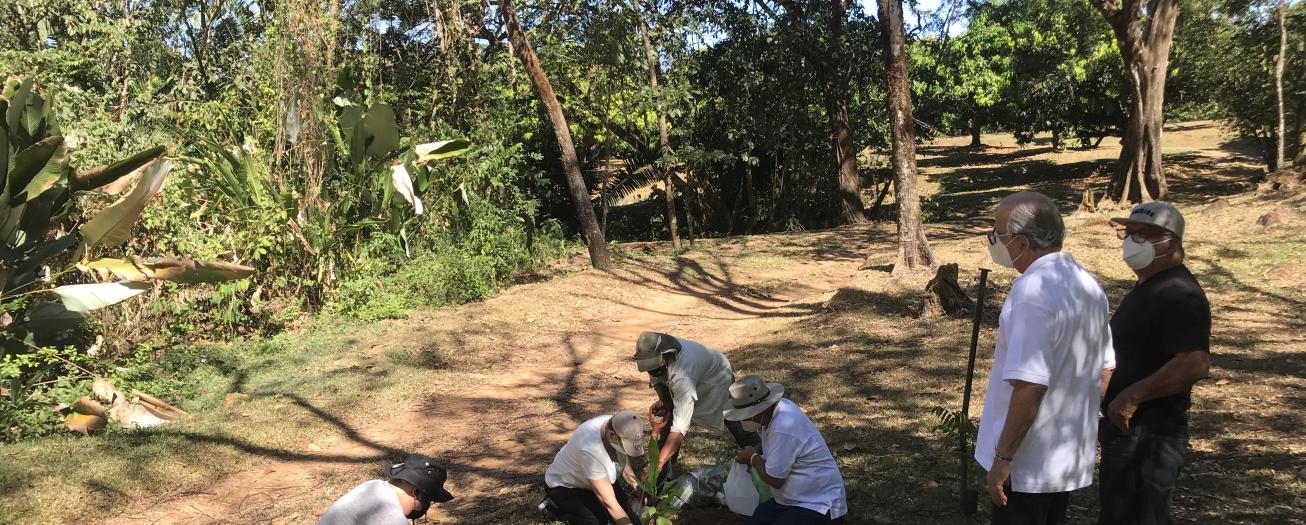 FEDOMA respalda avance del proyecto de siembra de árboles en memoria de los fallecidos por COVID 19 