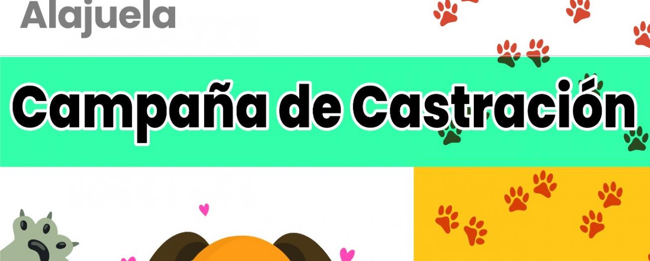 Municipalidad de Alajuela inicia campaña de castración