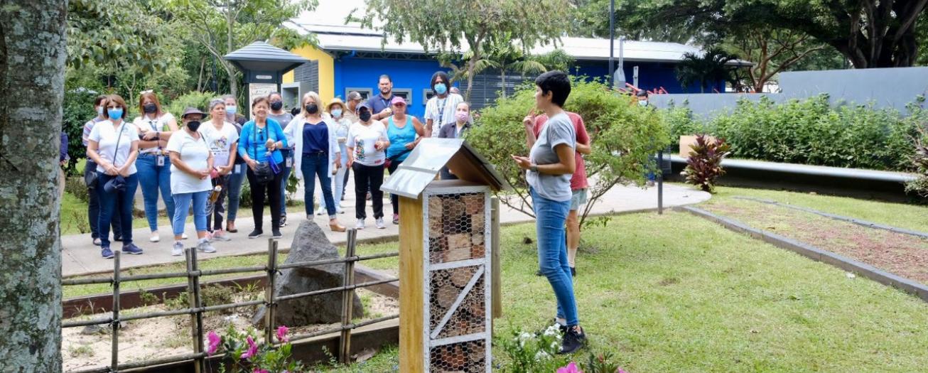Alajuela instala hotel para abejas