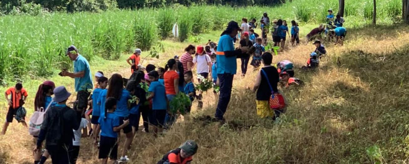 Cinco centros educativos se unen en campaña de reforestación 