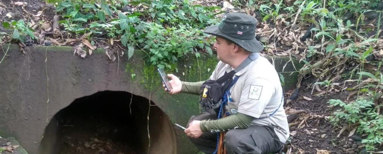 Pasos de fauna podrían ser realidad en poco tiempo en Ruta Uno