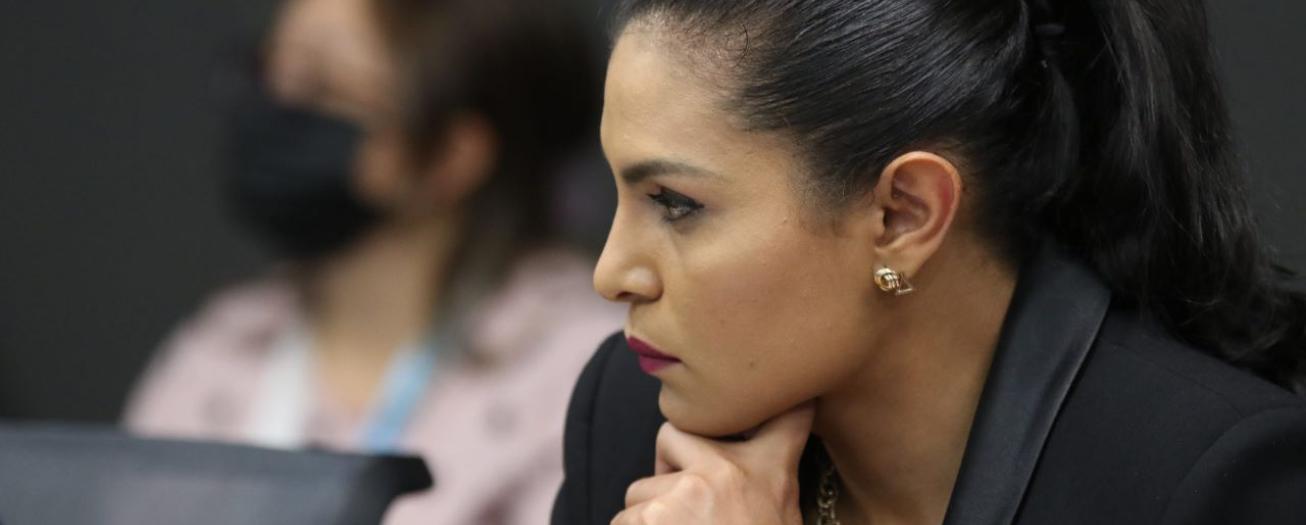 Diputada asegura que censura previa no es la vía para lograr la protección de la imagen de la mujer en la publicidad