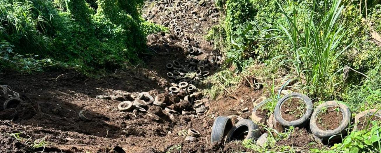 Municipalidad de Grecia atiende emergencia por deslizamiento de un talud 