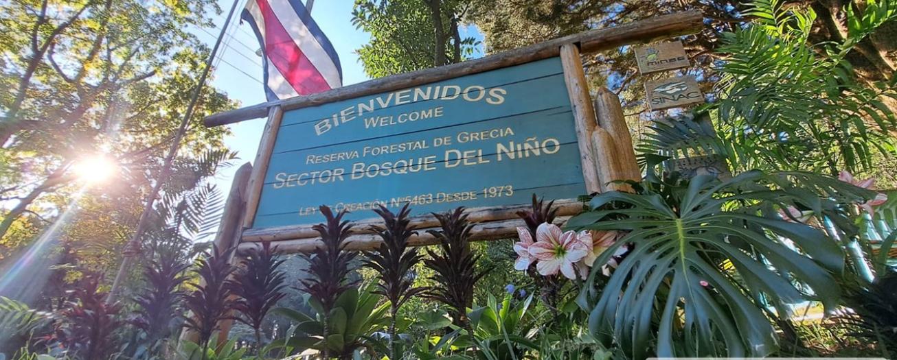 Reserva Forestal de Grecia: la montaña que nos da vida