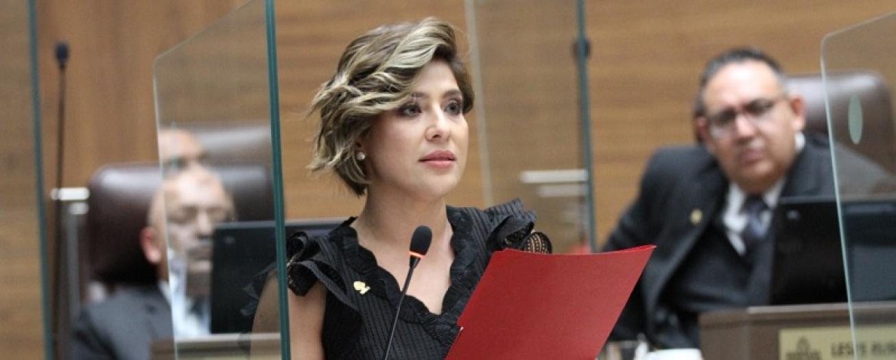 Diputados del PUSC pretenden que  proyecto contra delincuencia organizada se apruebe  en pimer debate esta misma semana 