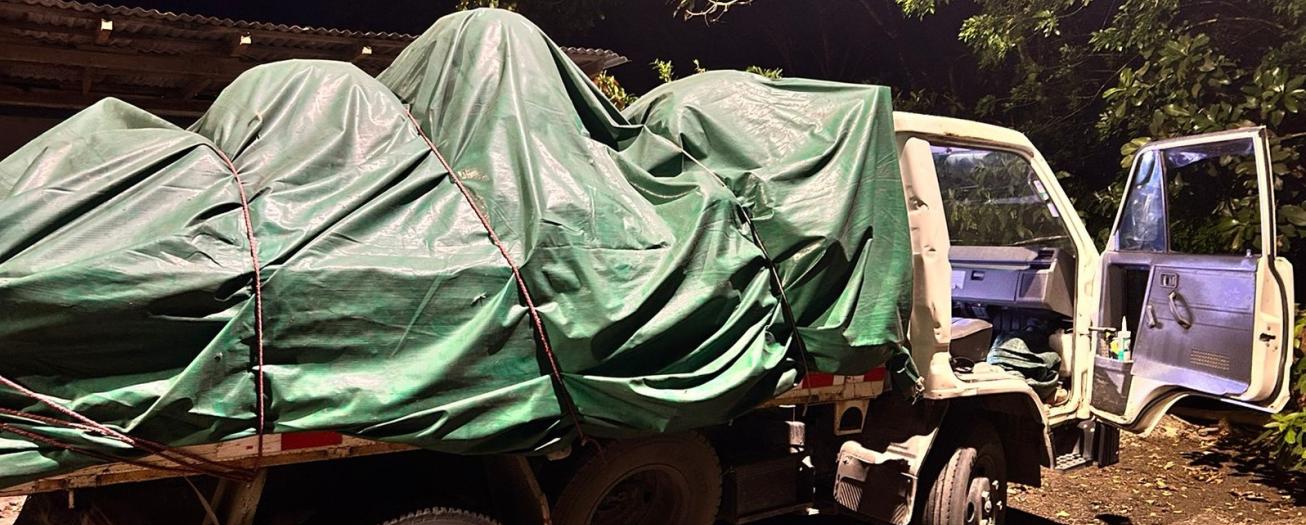 PCD intercepta camiones, captura a cuatro y allana laboratorio de marihuana 