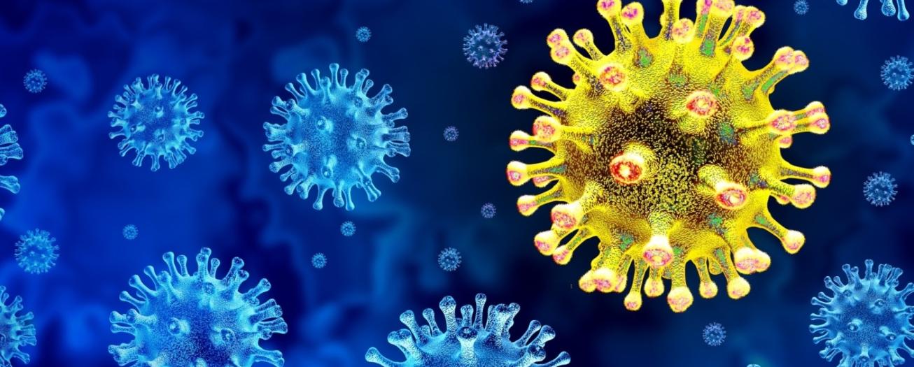 La variante JN.1 del COVID-19