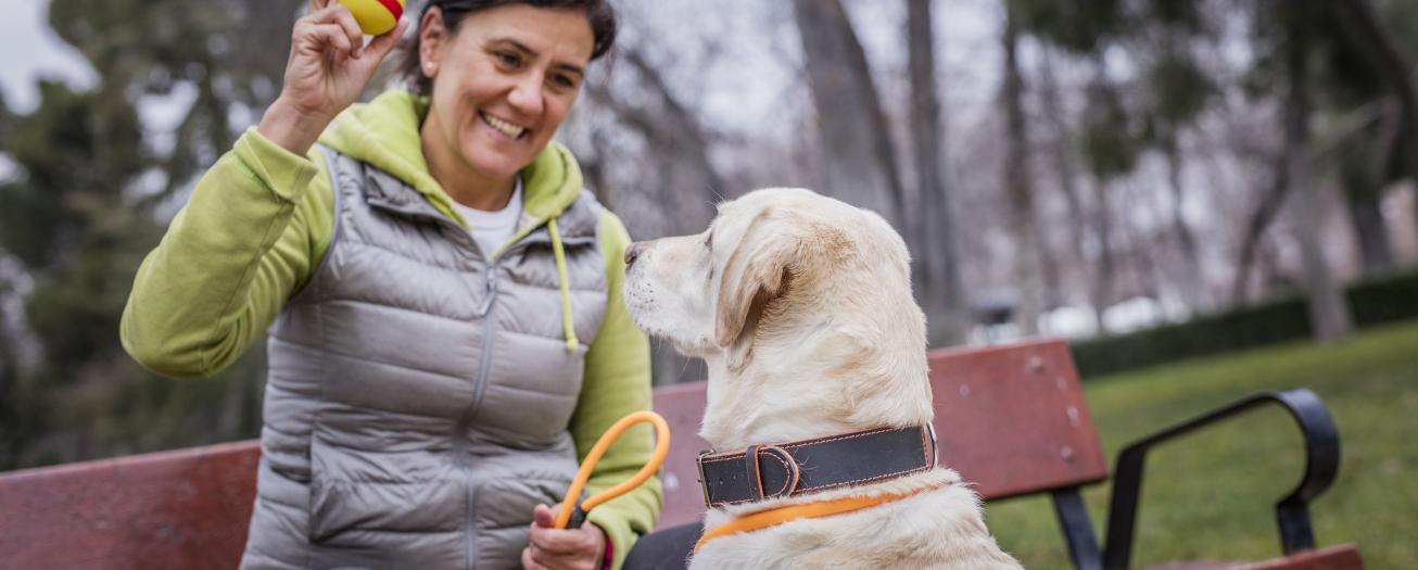 El vínculo con los perros impulsa el bienestar de las personas dentro y fuera del hogar