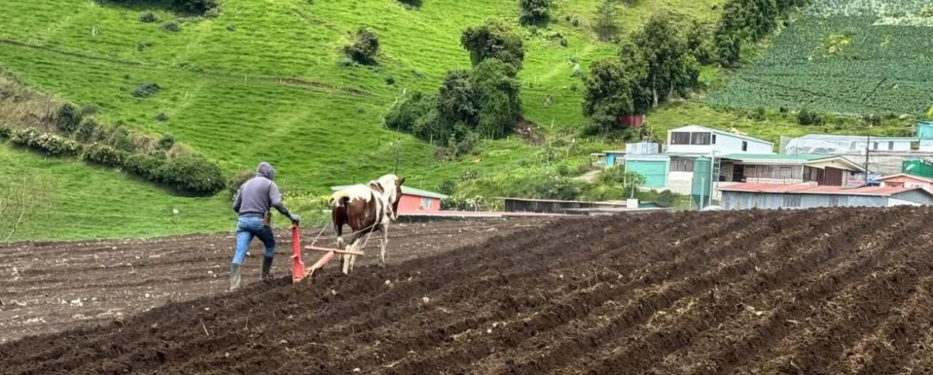 Agro costarricense se prepara ante el fenómeno de El Niño con acciones preventivas en todo el país