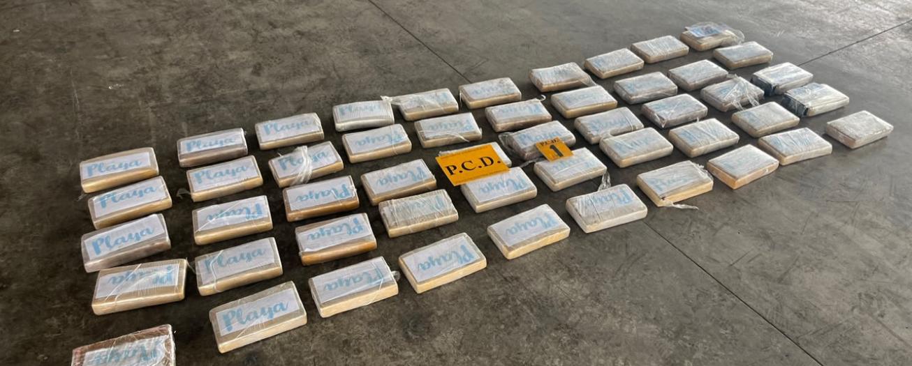 Mediante la Operación Soberanía, Seguridad Pública decomisa 50 paquetes de cocaína