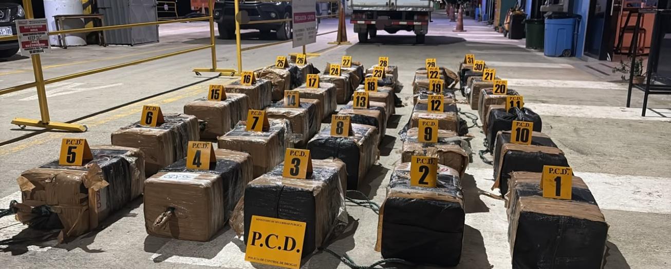 Policía decomisa casi dos toneladas de cocaína en el sur del país