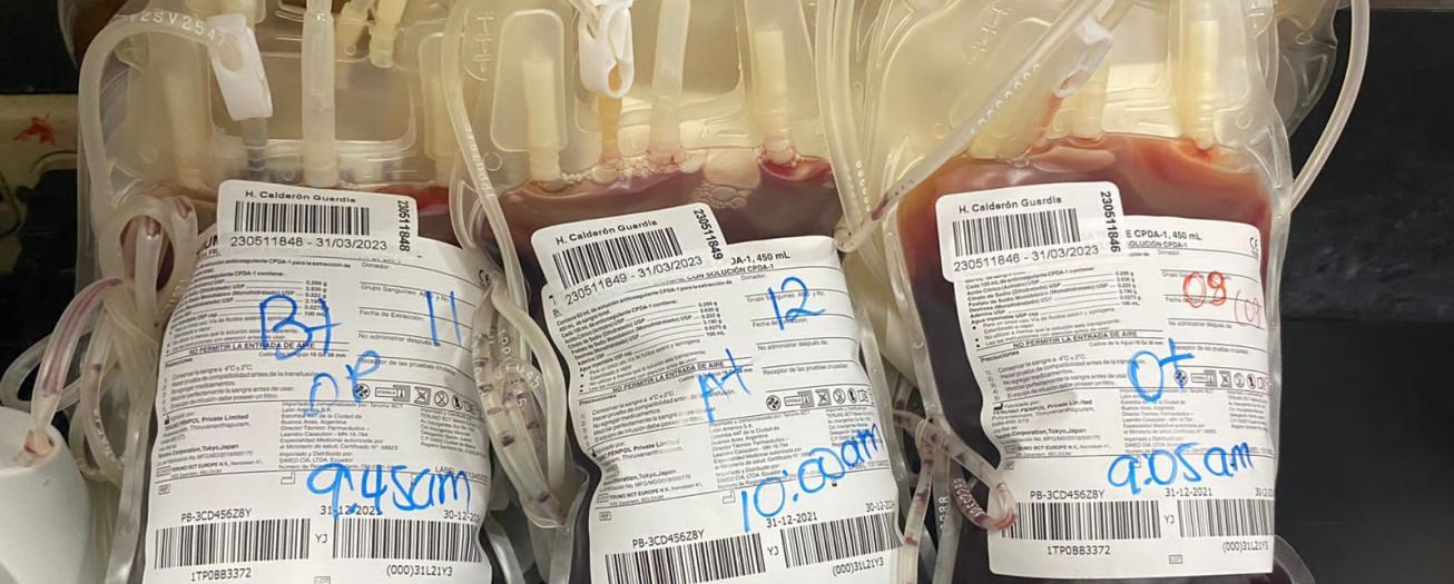 Banco Nacional de Sangre llama a mantener donaciones antes y después de feriado del 25 de julio