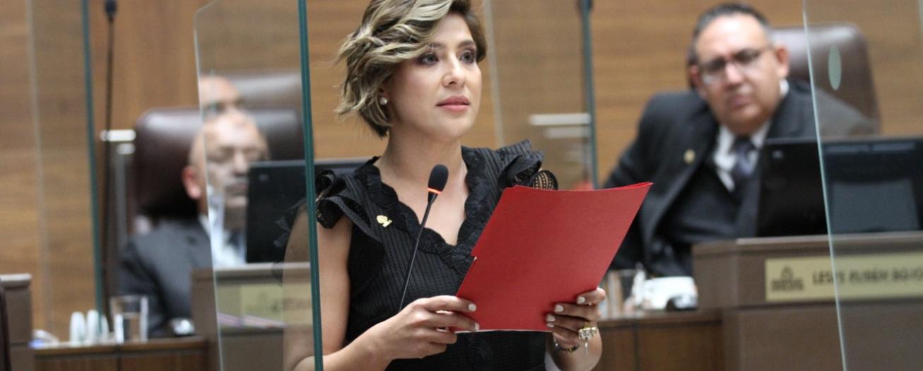 Diputada presenta proyecto de ley para fortalecer la autonomía económica de las mujeres