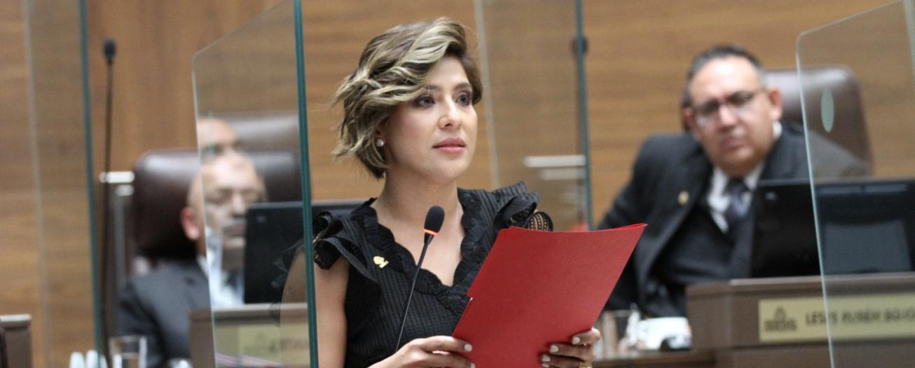 Diputada solicita incluir en agenda proyecto desconvocado 