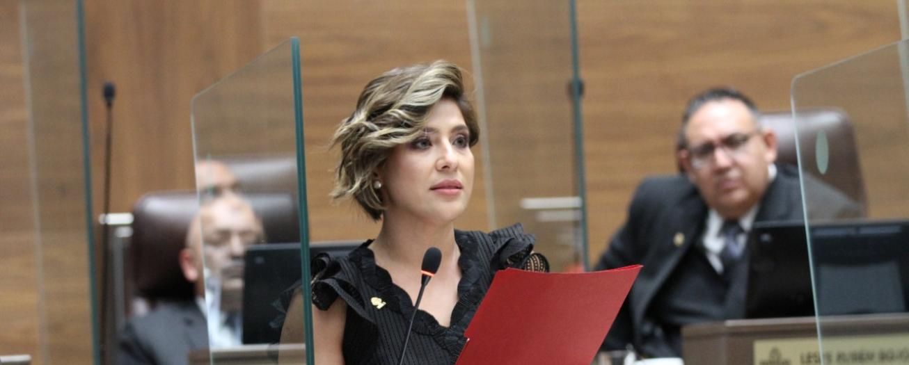 Diputada presenta proyecto de ley que regula comercialización de créditos para la  fijación de carbono 