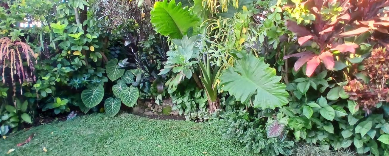 Jardín Tropical 140
