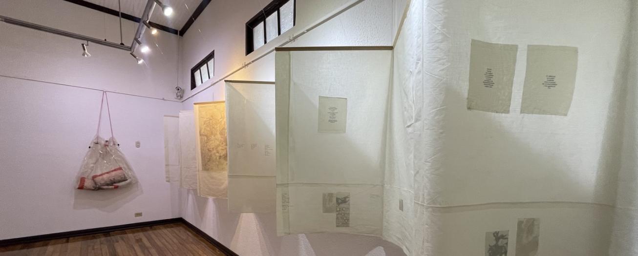 Museo Juan Santamaría abre exposición retrospectiva de la artista Dinorah Carballo